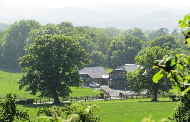 Acorn Court Country House - Foto 41