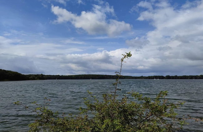 Holiday Home in Svendborg - Foto 48