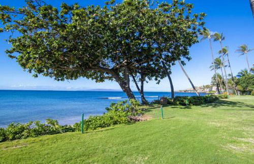 Kanai A Nalu 210 - Foto 29