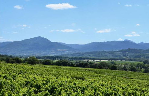 Pet Friendly Home In Vinsobres - Foto 22