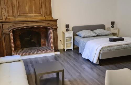 Beaugency-1 sur la route des Châteaux - Photo 24