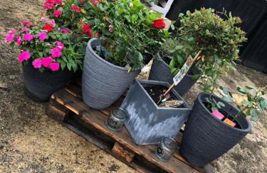 RLGuesthouses - Foto 9