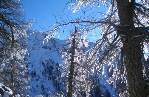 Beim Gruber - Foto 33