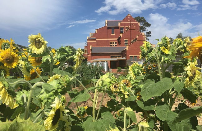 Adelaide Style Accommodation near City - Foto 26