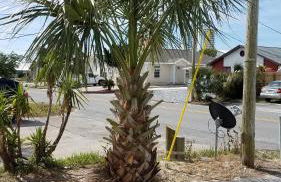 House 3 blocks to the beach - Foto 43