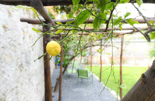 RUSTICO ALLE MURA Love & Bike - Foto 59