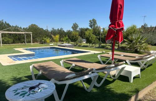 OLE TÚ ANDALUCIA - Foto 5