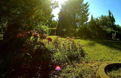 La Francigena - Foto 18