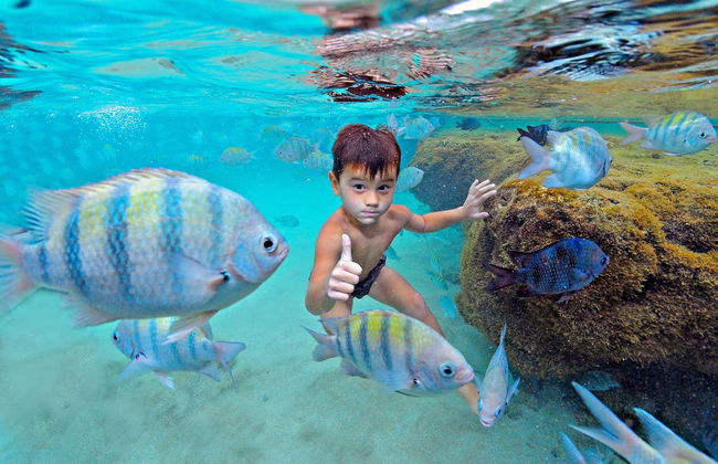 Escursione a Porto de Galinhas - Foto 7