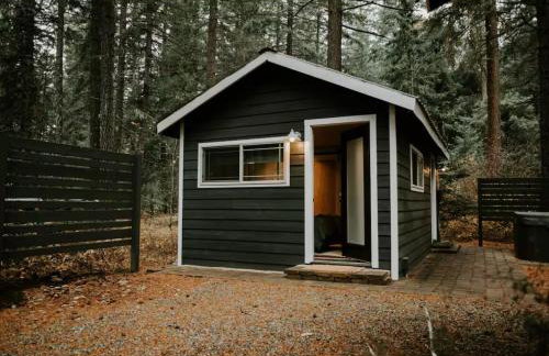 Cabin and Casita Near Rosyln and Suncadia Hot Tub, Game Room, Firepit, Sleeps 11 - Photo 32