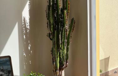 VeBella Ocean View - Foto 53