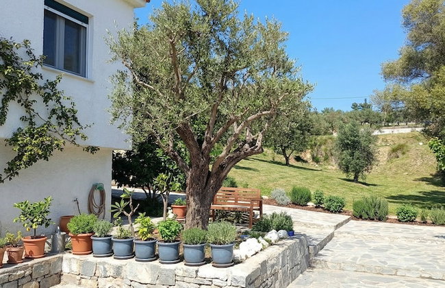 Villa Siesta gr - Foto 62