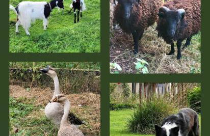 Entre Ciel et Marais - Foto 62