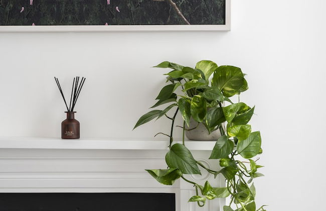 The Moorgate by Cove - Foto 70