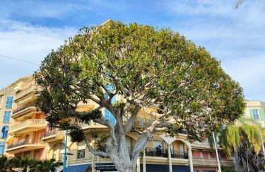 Le Coq St-Roch - Parking - AC - Swimming pool - Foto 35