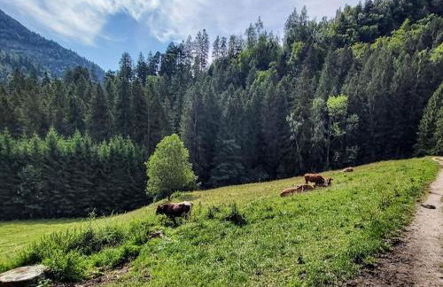 Landhaus Glücksmoment - Foto 15