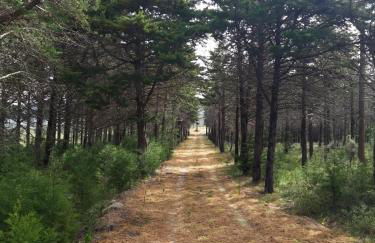 Moinho do Cubo - Foto 3