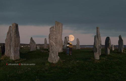 21 Callanish Luxury Pod - Photo 1