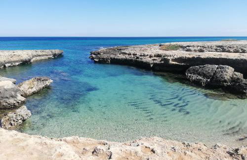 Fico Puglia - Foto 35