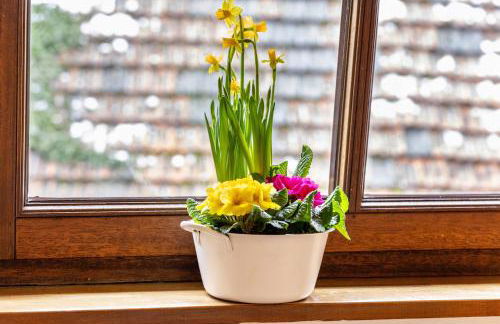 Ferienwohnungen Belkenscheid - Foto 48