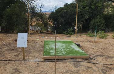 Finca palmers - Photo 31