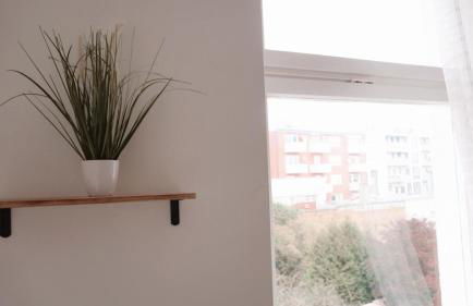 Ferienwohnung - schönes Heim Li-Apartments - Foto 14