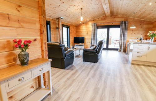 Bryn Eiddon Log Cabin - Photo 12