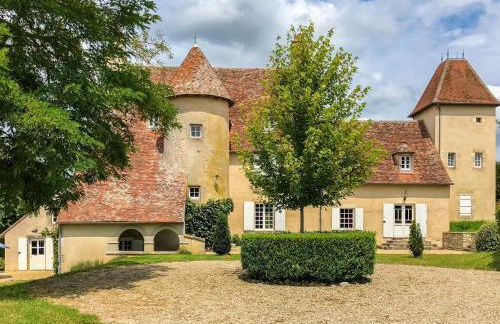 Castle in Le Veurdre near Forest and River - Foto 8