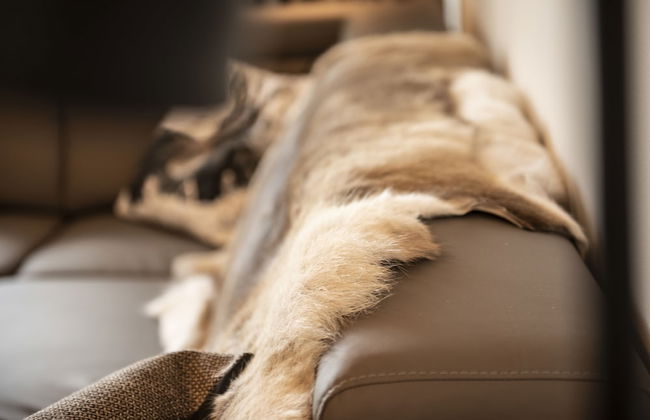 Appartement Dorf Wagrain Alpenleben - Foto 70