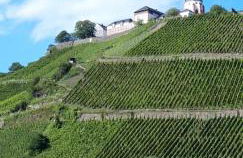 Residenz Moselstausee - Foto 55