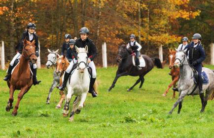 Sasek Mały # Pensjonat # Jazdy Konne - Foto 12