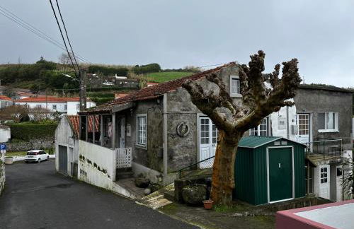 Casa do Stefan - Foto 1