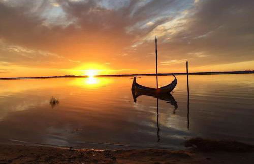 Lux 56 Praia da Barra Aveiro A 20 metros da Praia - Foto 28