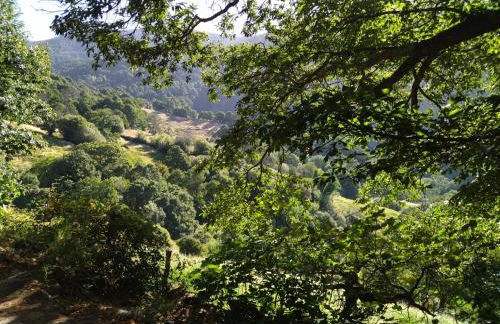EL BALCÓN PANORÁMICO DE GREDOS - Foto 51