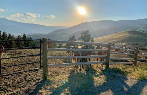 Mammoth Overlook Of Yellowstone - Foto 43