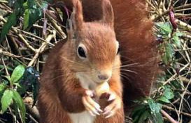 Benllech Beach - Foto 18