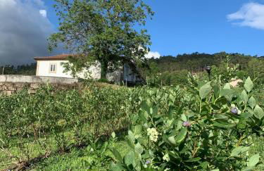 Casa de Rompecias - Foto 37