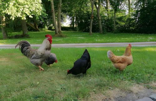 Gänsehaus - Foto 18