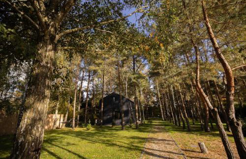 Jemioła Chaty Niedźwiady Małe - Foto 20