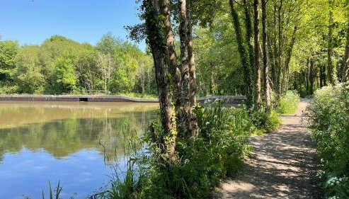 Oak Tree Lodge - A Romantic Getaway- Finlake Resort & Spa - Devon - Foto 3