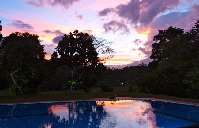 Tropical Dream Villa - Photo 27