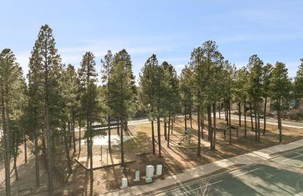 NEW! 5BR Family Retreat with Game Room, AC, Near Downtown Flagstaff & NAU - Foto 26