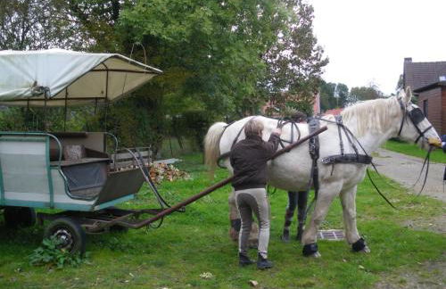 Gîte et Relais Equestre de Marie - Foto 31