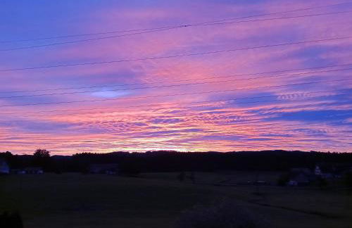 Ferienwohnung Steible - Foto 23