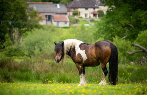 Hogchester Cottage - Photo 18