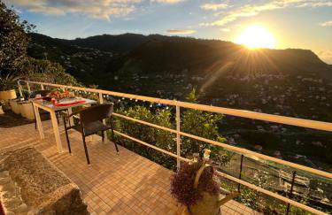 Tropical House - Foto 16