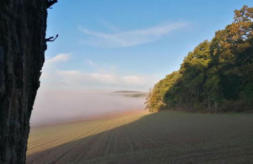 Ferienwohnungen an der Hufeland-Therme - Foto 32