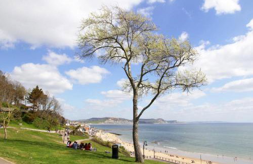 18th Century Thatched Cottage Parking & Garden - Foto 50