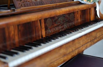 Villa Kristina - Swimming pool, Dolenja Vas - Istra - Foto 29