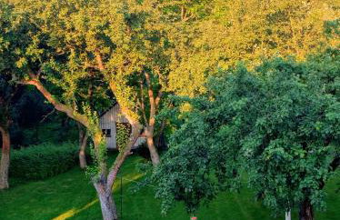 Bukowe Zacisze - Foto 18